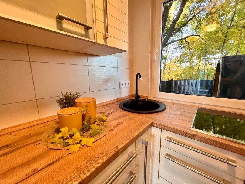 Ferienhaus Harzblick Meisdorf Extérieur photo